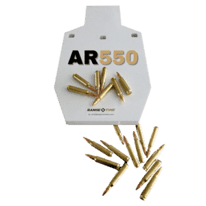 AR550 (5)